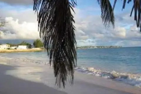 Butterfly Beach Hotel in Christchurch — foto 4
