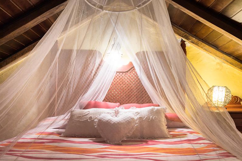 Finca Natura Canaria foto 18