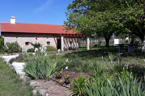 Quinta Vale Porcacho in Tábua — foto 8