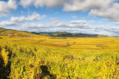 Ontdek Elzas en Vogezen foto 11