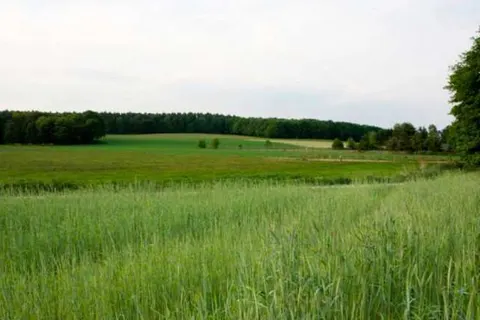 Hotel Restaurant Ruimzicht foto 39