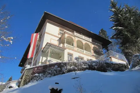 Villa Excelsior in Bad Gastein — foto 14