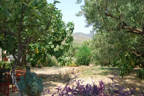 Anatoli Labreon Guesthouse - Apartments in Δημοτική Ενότητα Αρτεμισίων — foto 18