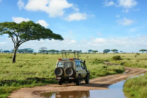 Explore the Great Nature of Tanzania foto 1