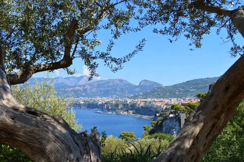& Village Santa Fortunata in Sorrento — foto 5