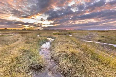 Hotel Restaurant Dallinga foto 32