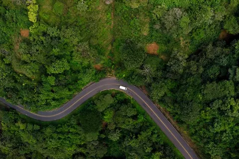 16 daagse reis Costa Rica Drive & Connect in Quesada