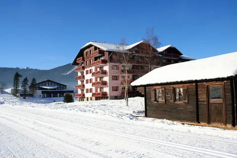 Vitalhotel Gosau in Gosau — foto 7
