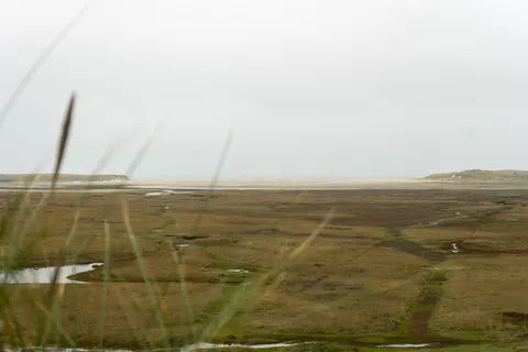 Vakantiepark Texel foto 11