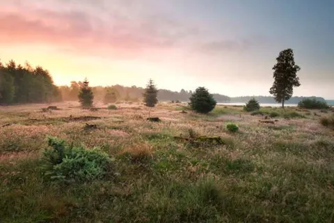 Landhotel Diever foto 35