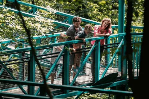 Hub Resorts Drentse Weelde foto 7