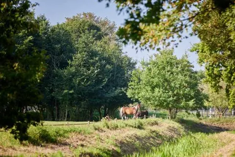 Badhotel Renesse foto 48