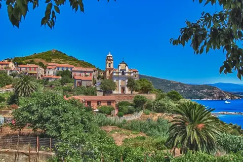 Camping Torraccia foto 4