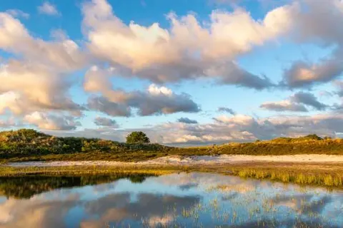 Vakantiepark Schoorlse Duinen foto 17