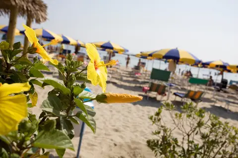 Long Beach Village in Ravenna — foto 10
