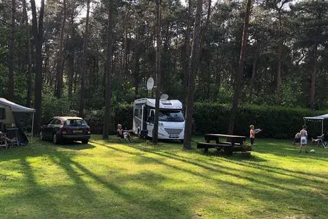 Camping Siesta foto 15