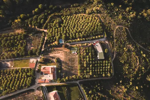 Quinta dos Raposeiros in Mafra, foto 7