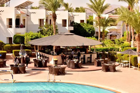 Dive Inn in Sharm El Sheikh — foto 18