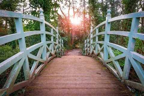 8 daagse wandelreis Ierland Wicklow Way in Dublin — foto 4