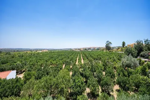 Flor da Laranja in Albufeira — foto 3