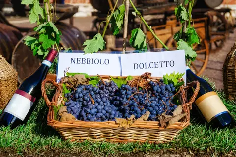 Cultuur en wijn in Piemonte, Mondovì in Mondovì — foto 18