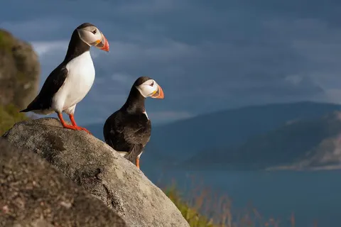 7 daagse fly drive Noorwegen fjorden & kusten foto 5