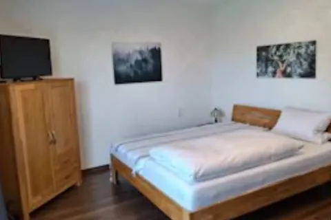 Landgasthof Grüner Baum foto 14