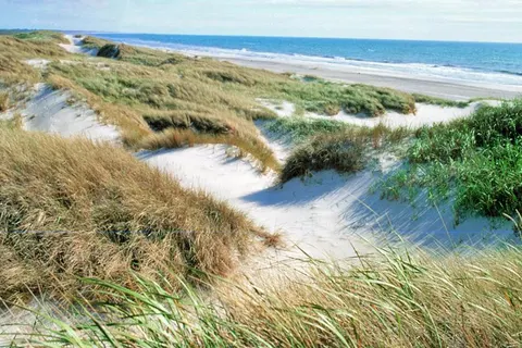 Vakantiepark Seawest in Varde Municipality — foto 37