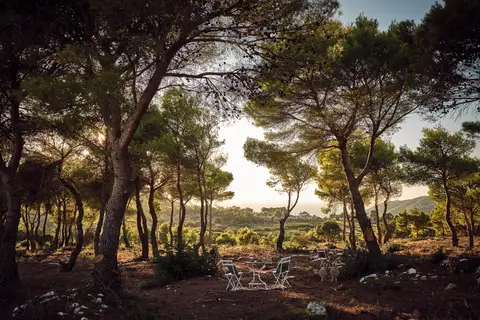 Tramonto Di Roccia in Δημοτική Ενότητα Ελατίων — foto 24