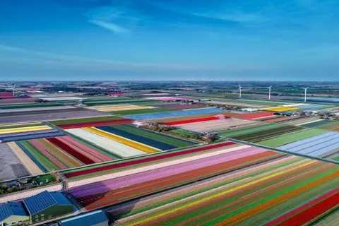 Hotel Marktstad foto 34