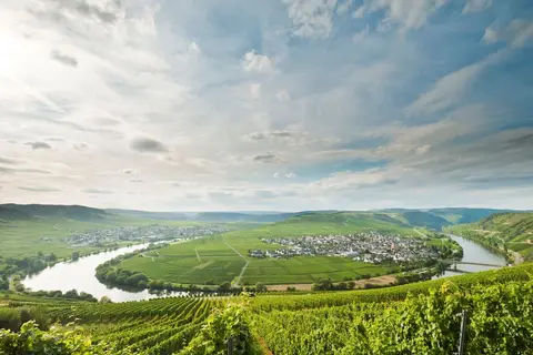 Sonnenberg in Leiwen — foto 19