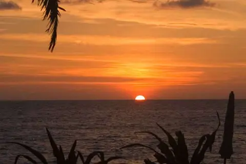 Khao Lak Palm Beach Resort in บ้านบางหลาโอน — foto 19