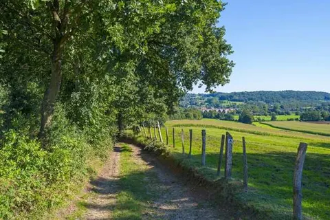 Hotel Nieuw Antiek foto 29