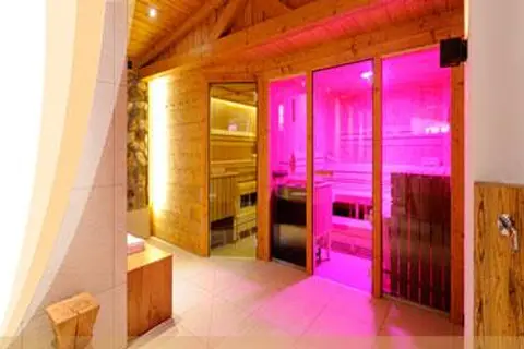 Hotel Der Löwe in Leogang