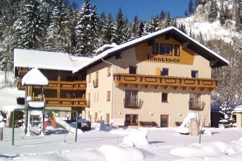 Hotel Der Tannenhof foto 12