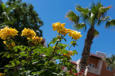 Appartementen Villa Dora foto 9