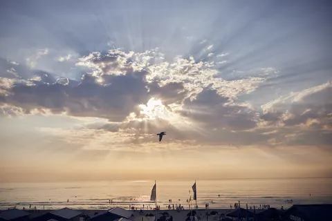 Center Parcs Park Zandvoort foto 27