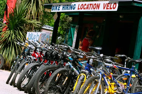 L Hippocampe foto 20