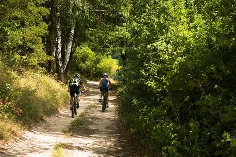 Country Camp Nommerlayen foto 15