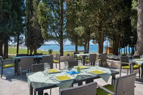 Camping Pineta foto 16