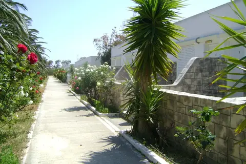Hotel San Marcos in Diezma — foto 2