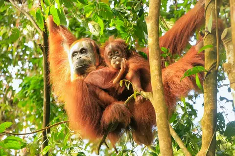 Ontdek Noord-Sumatra en relax op Bali in Jiwa Baru — foto 10