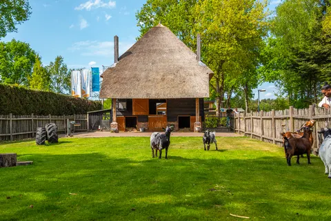 Vakantiepark De Wije Werelt foto 7