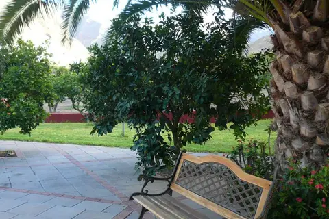 Finca Las Longueras in Agaete — foto 8