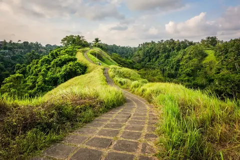 Bijzonder Bali in Surakarta — foto 4