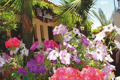 Vila Lusitânia in Funchal