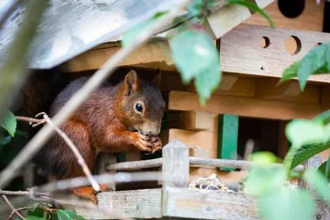 Hotel Silberdistel foto 23