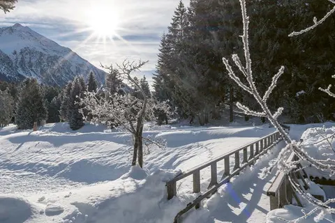 Sunstar Hotel Lenzerheide foto 23