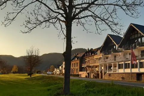 Haus Moselliebe in Ediger-Eller