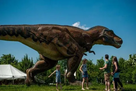 Bungalowpark Emslandermeer foto 28